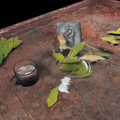 Artwork van The Reintegration of the Ear, in opdracht van Christina Vantzou