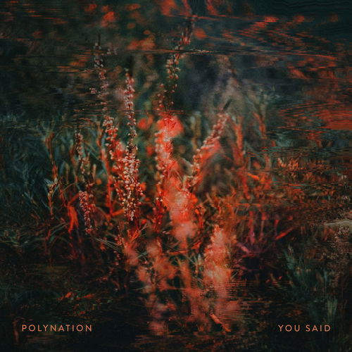 Artwork van You Said, in opdracht van Polynation