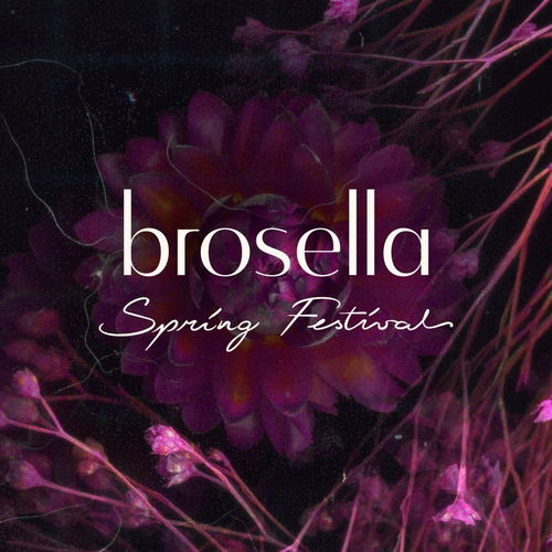 Logo van Brosella Spring Festival 2026, in opdracht van Brosella