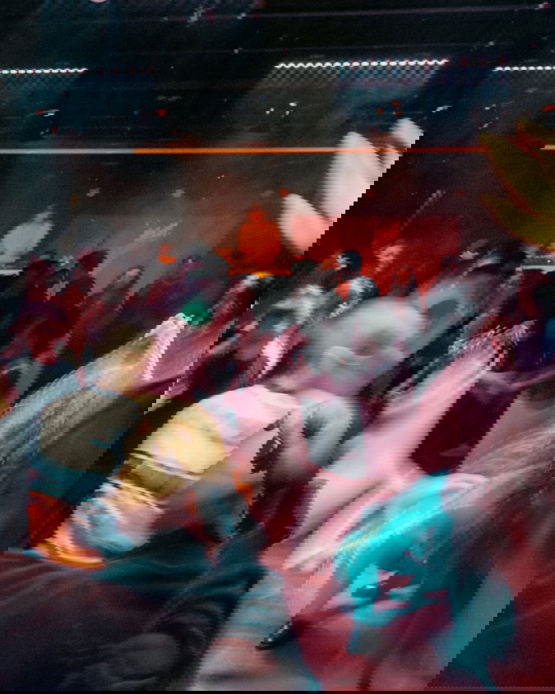 Melissa Fauve Anzalone