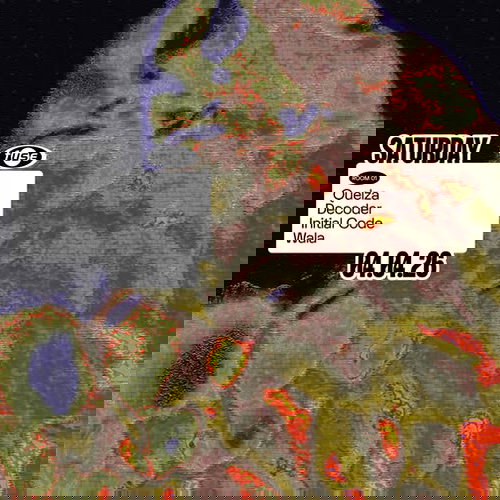 Promo van Fuse presents: Quelza &amp; Decoder, in opdracht van Fuse