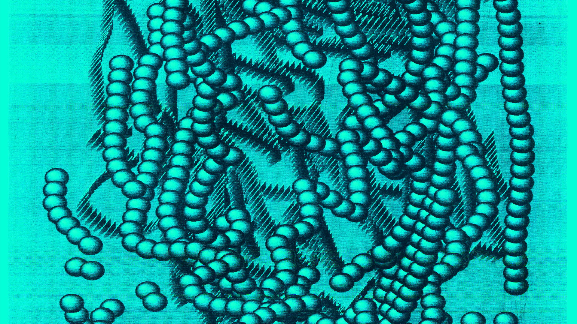 Artwork van De Beren Gieren, gemaakt door Dieter Durinck