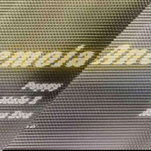 Promo van Anemoia w/ Poppy, Malo Z &amp; Ava Eva, in opdracht van Anemoia en Ava Eva