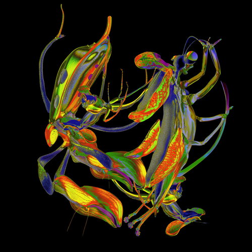 Artwork van Shō, in opdracht van DJ Nobu