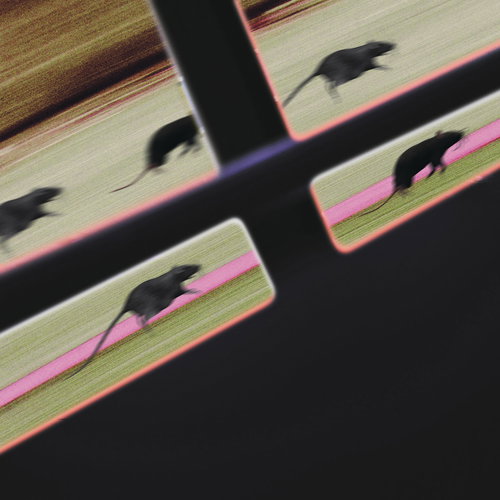 Artwork van Rat Race, in opdracht van DJ JM