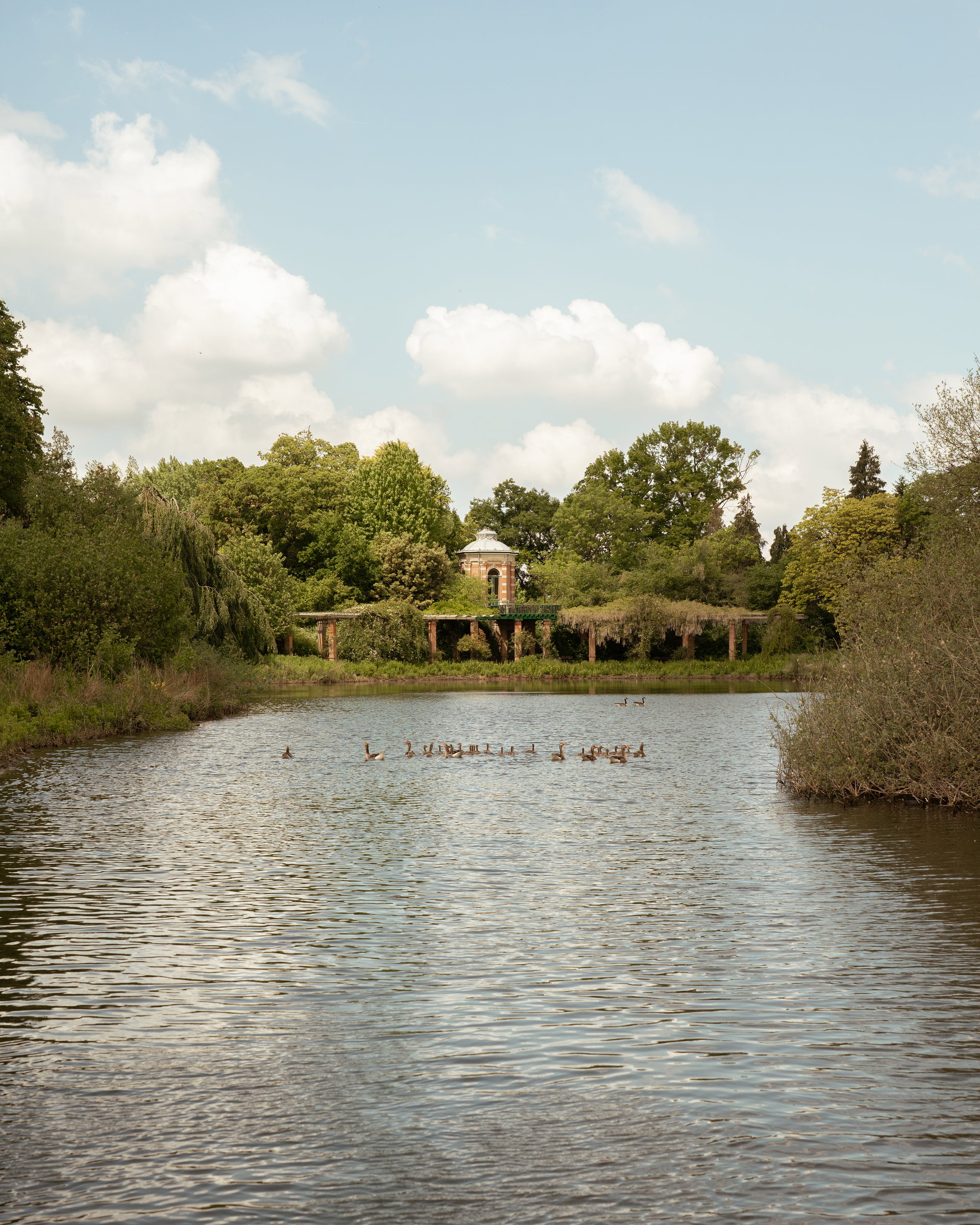 From Dusk Till Dawn, gemaakt door From Dusk Till Dawn