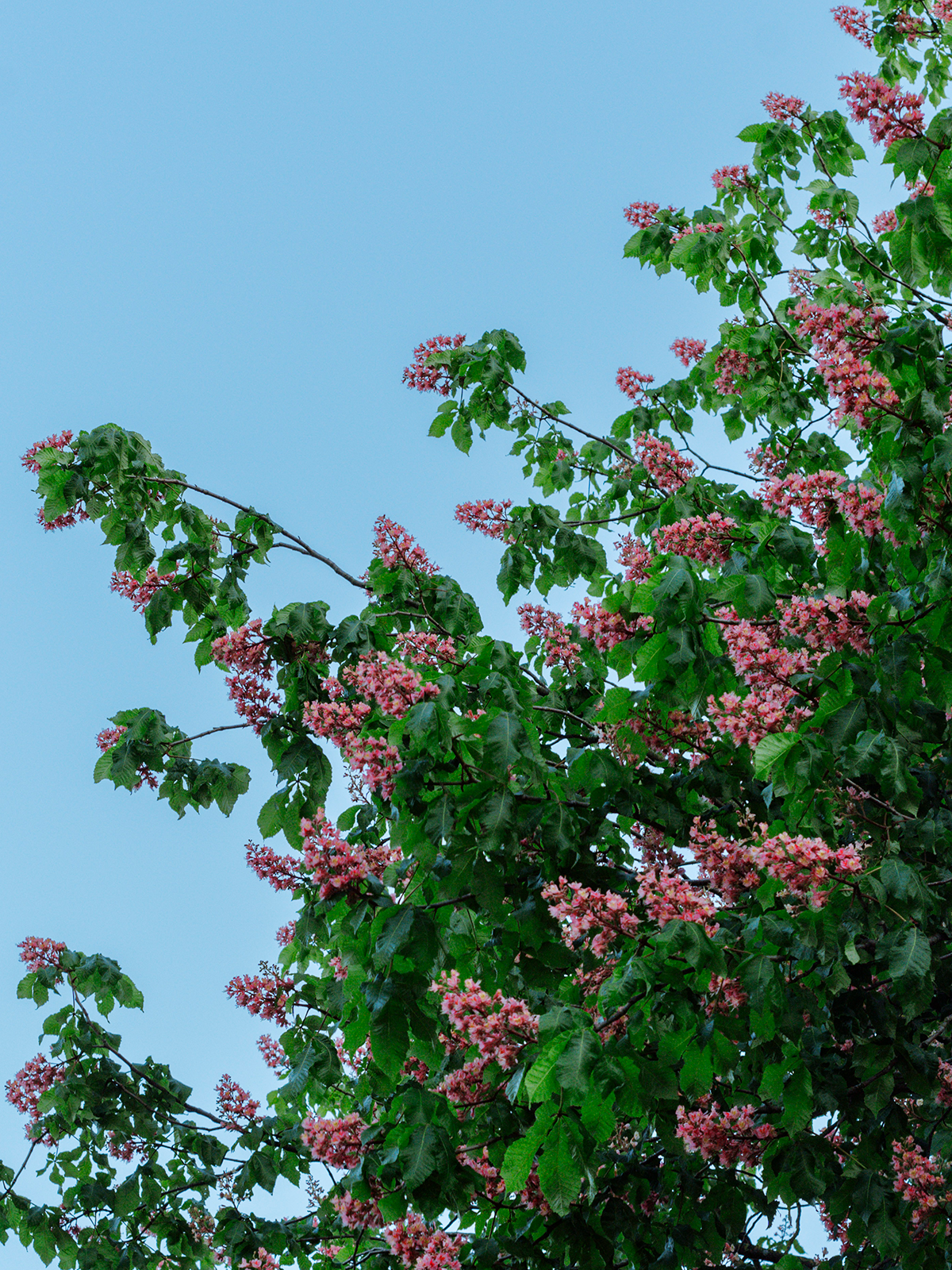 SPREEY Free Open Air ✱ Zuidpark Gent, in opdracht van Spreey