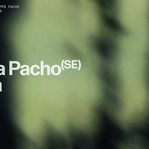 Promo van Curated by Phemia: Philippa Pacho, in opdracht van Traum