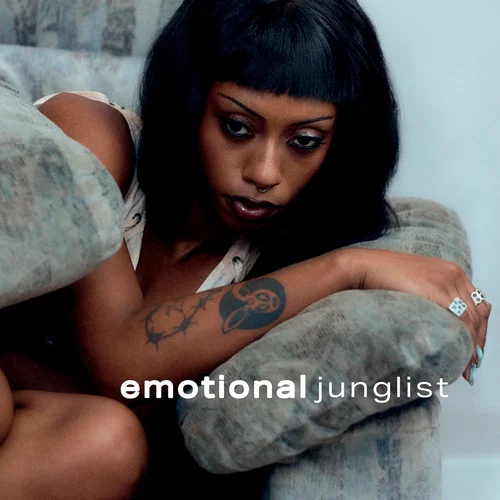 Artwork van Emotional Junglist, in opdracht van Nia Archives