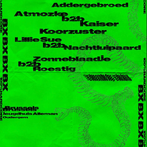 Promo van Snake Charmers - 100% Hardcore, in opdracht van Jh Alleman