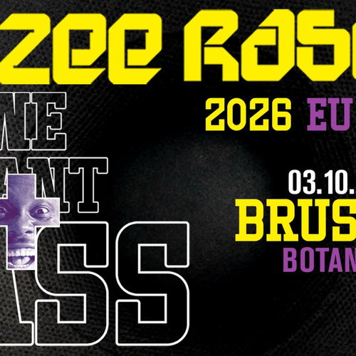 Artwork van Dizzee Rascal, in opdracht van Botanique