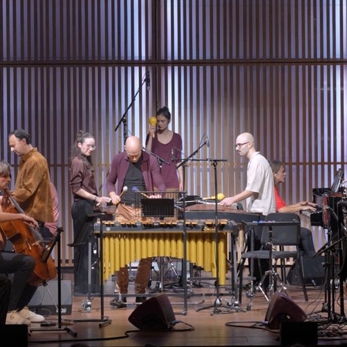 Promo van Steve Reich: Music for 18 Musicians &amp; ROLROLROL — Verbeelding van de Nacht, in opdracht van Gent Festival van Vlaanderen